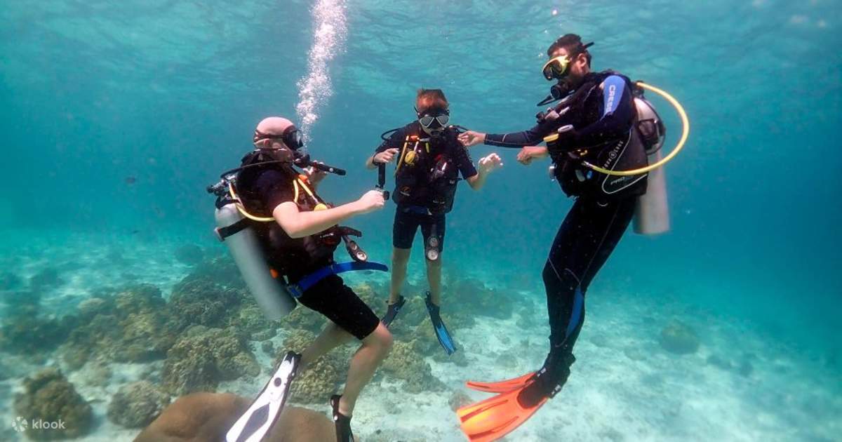Discover the Underwater Wonders of Makadi Bay on a Diving & Snorkeling